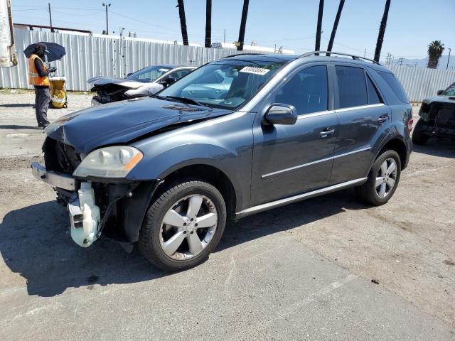 Mercedes-benz M-class (2010)