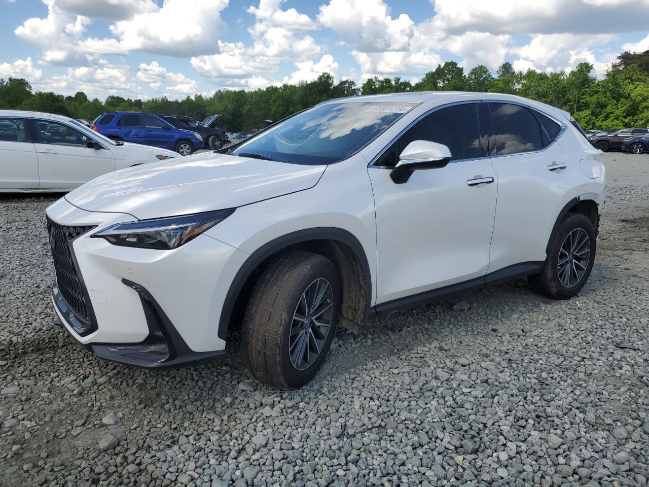 Lexus Nx-300h (2024)