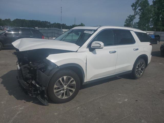 Hyundai Palisade (2021)