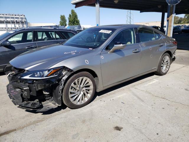 Lexus Es300 (2019)