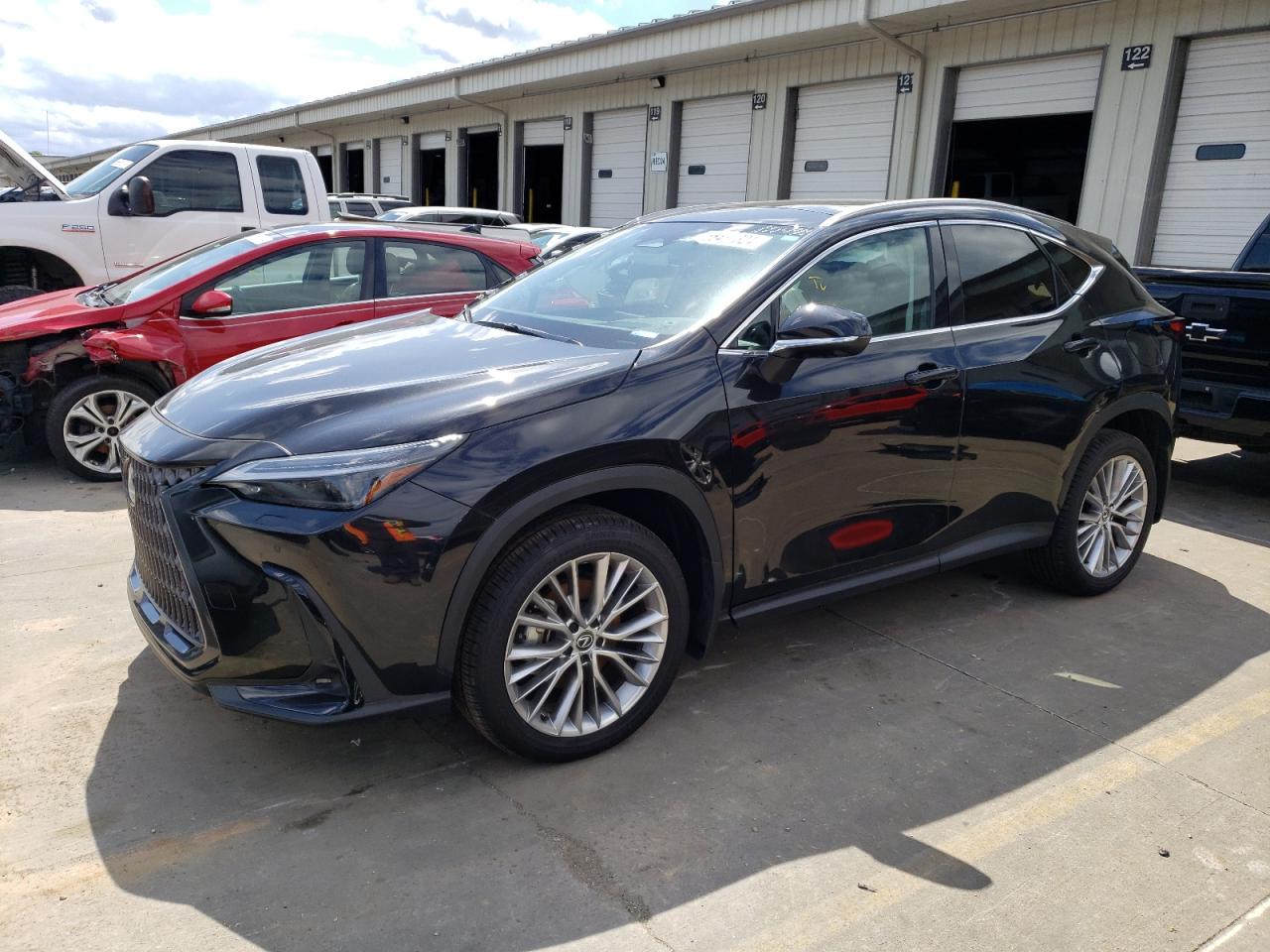 Lexus Nx-300h (2024)