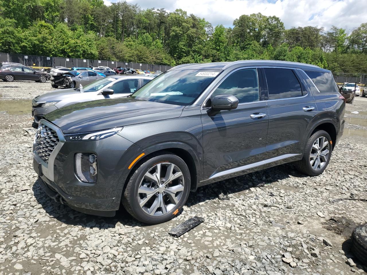 Hyundai Palisade (2021)