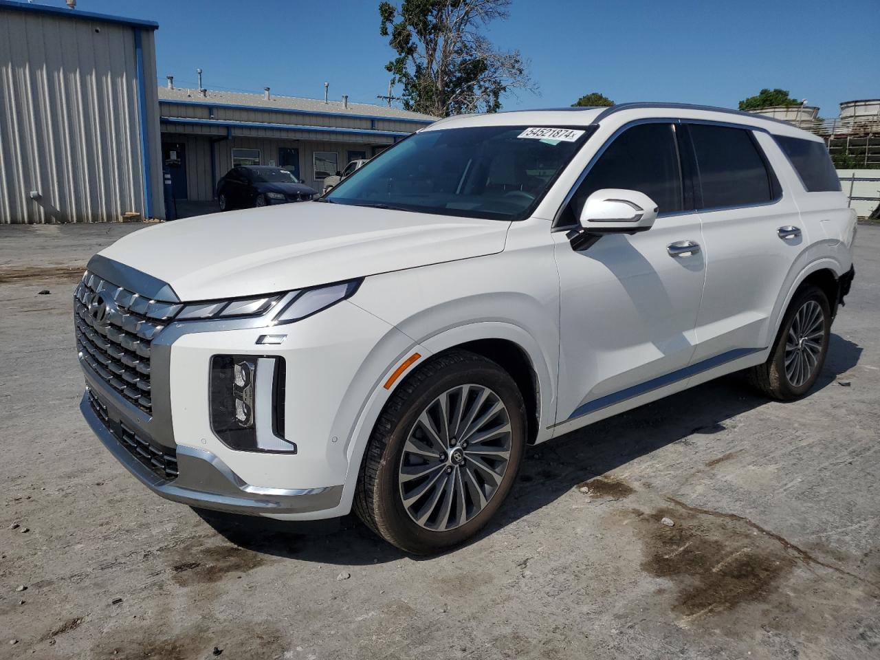 Hyundai Palisade (2024)