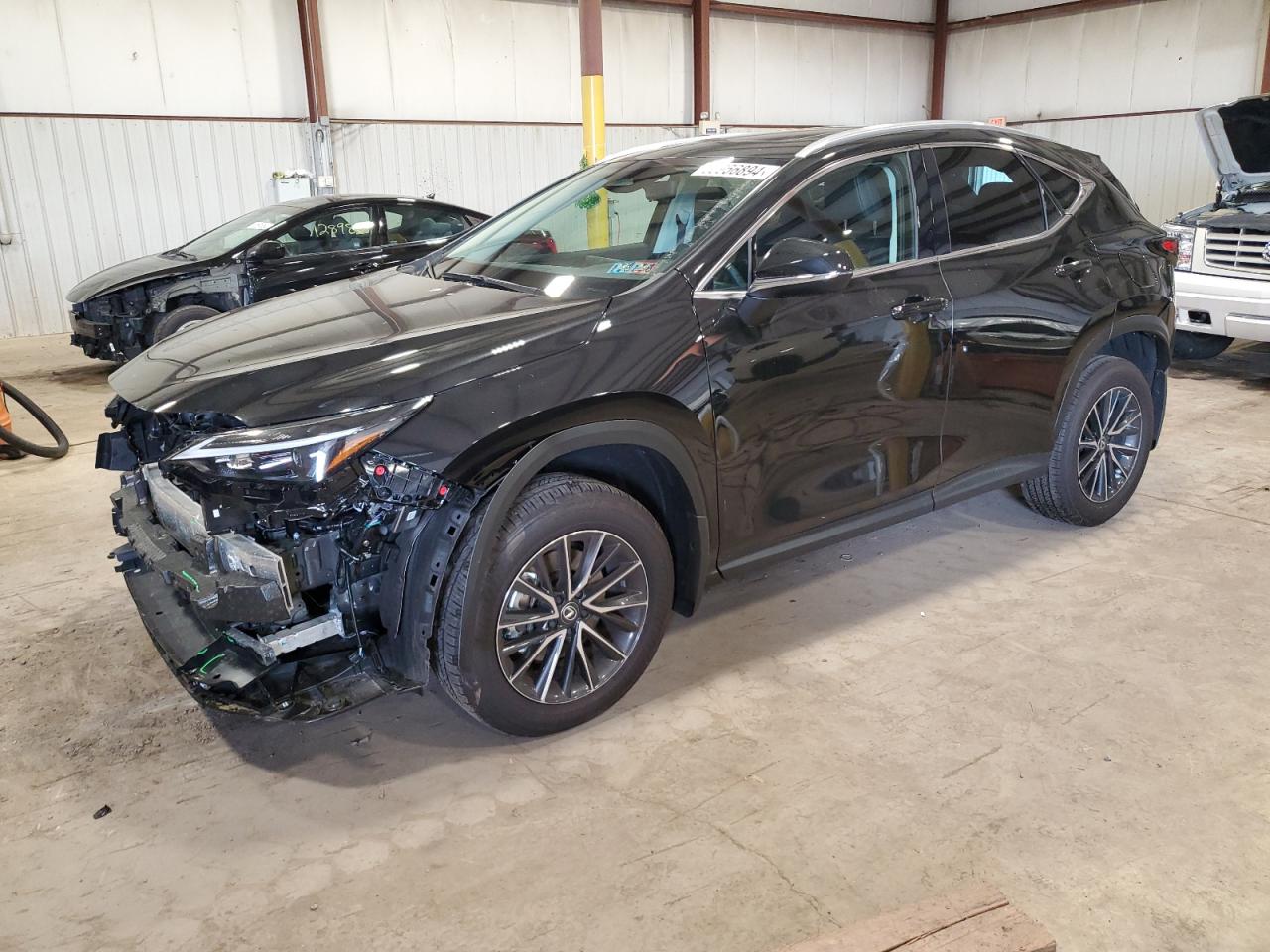 Lexus Nx-300h (2024)