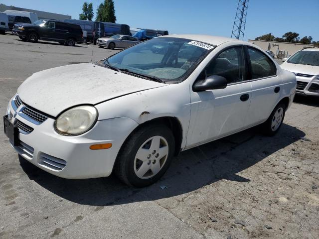Dodge Neon (2004)