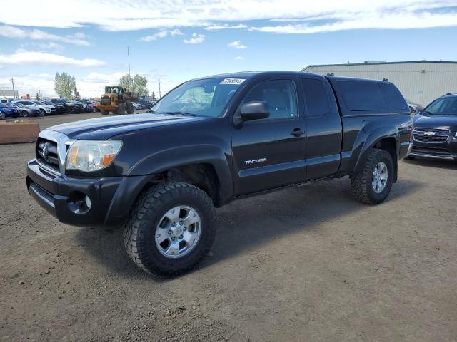 Toyota Tacoma (2006)