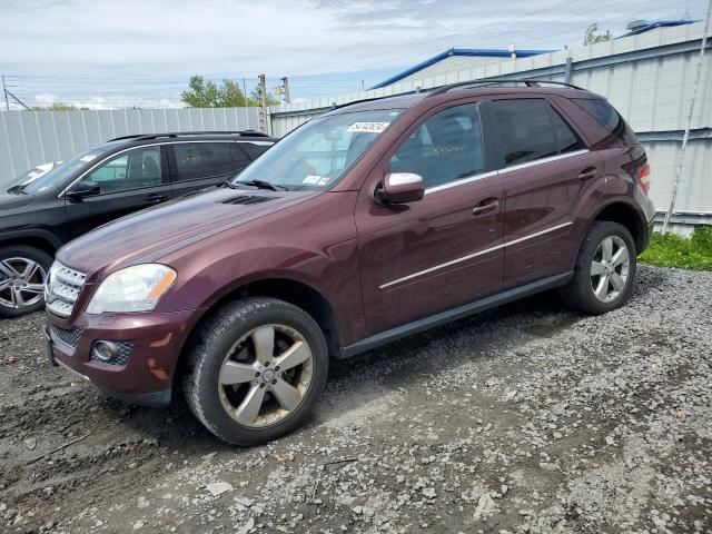 Mercedes-benz M-class (2010)