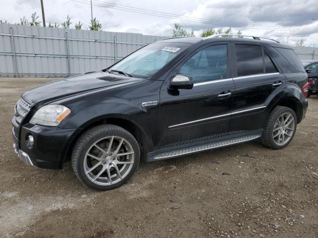 Mercedes-benz M-class (2010)