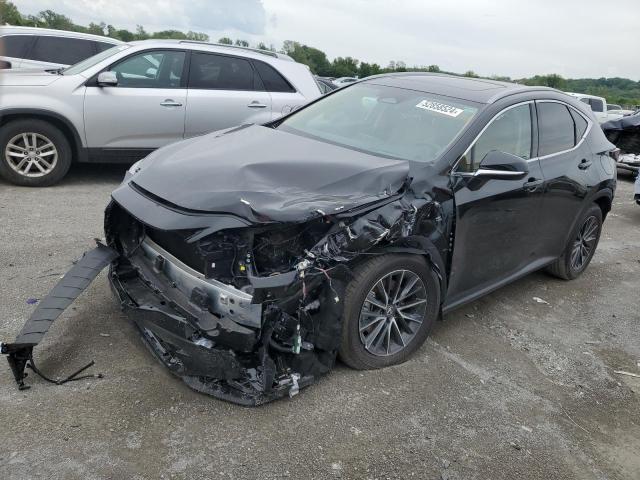 Lexus Nx 350h ba (2024)