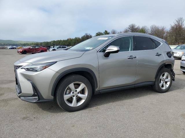 Lexus Nx 350 pre (2024)
