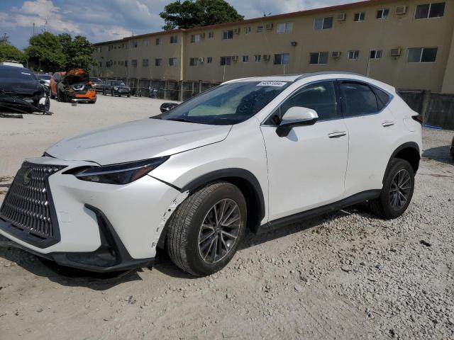 Lexus Nx 250 (2023)