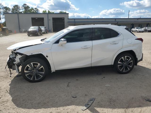 Lexus Ux 250h pr (2024)