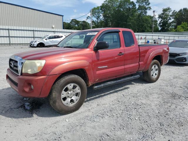 Toyota Tacoma (2005)