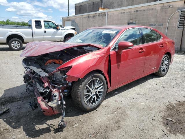 Lexus Es300 (2018)