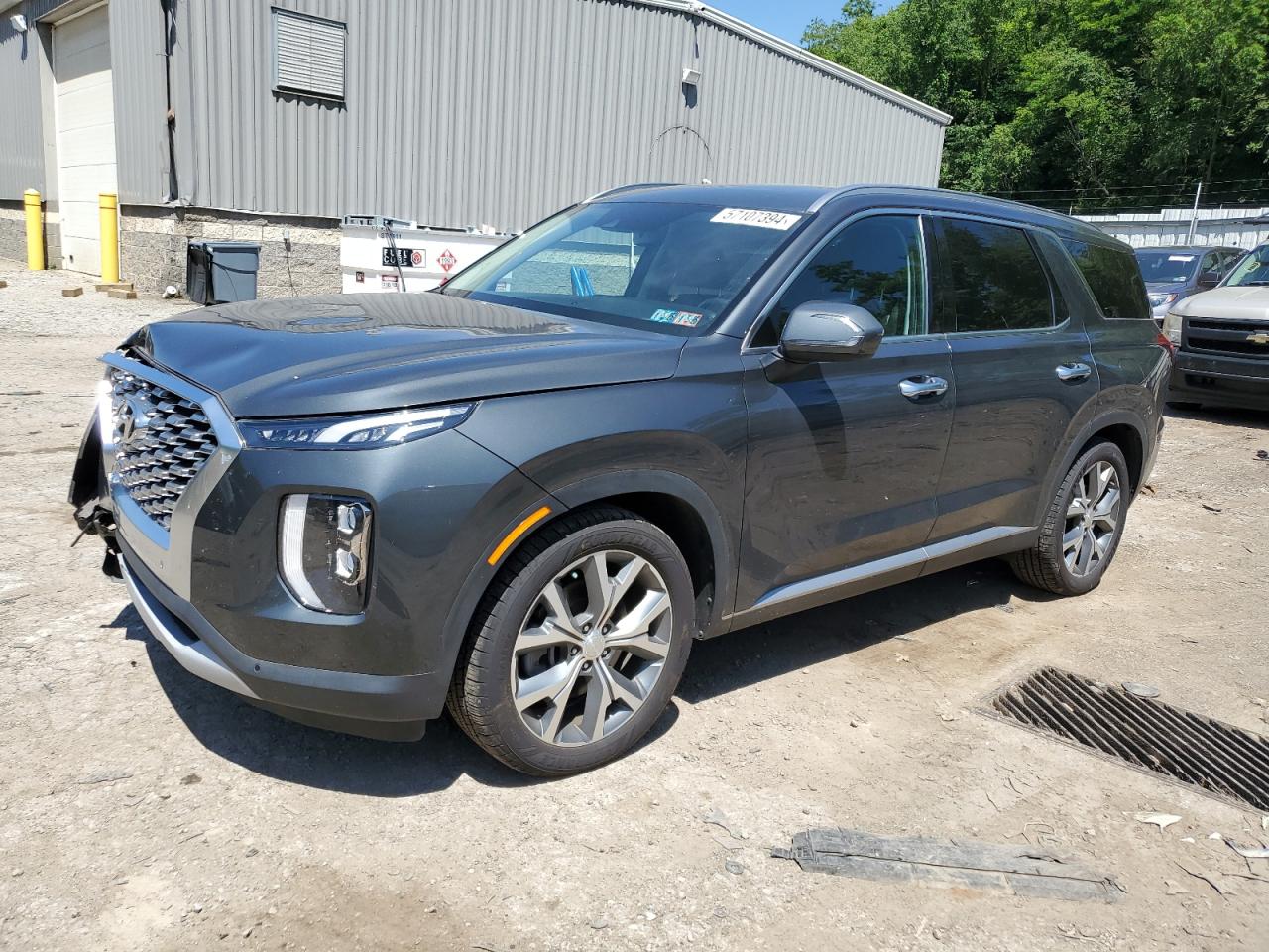 Hyundai Palisade (2020)