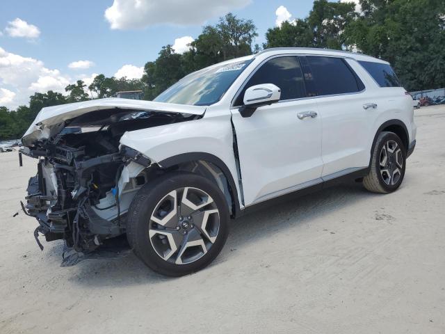 Hyundai Palisade (2024)