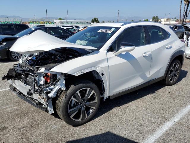 Lexus Ux 250h ba (2024)