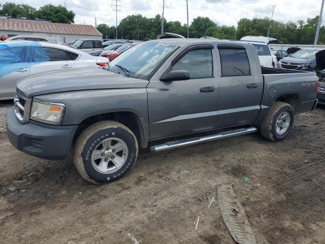 Dodge Dakota (2008)