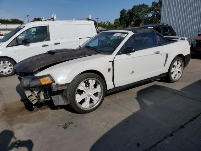 Ford All models (2004)