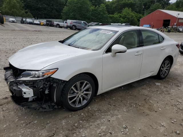 Lexus Es300 (2017)