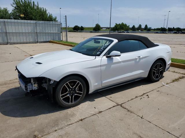 Ford All models (2020)