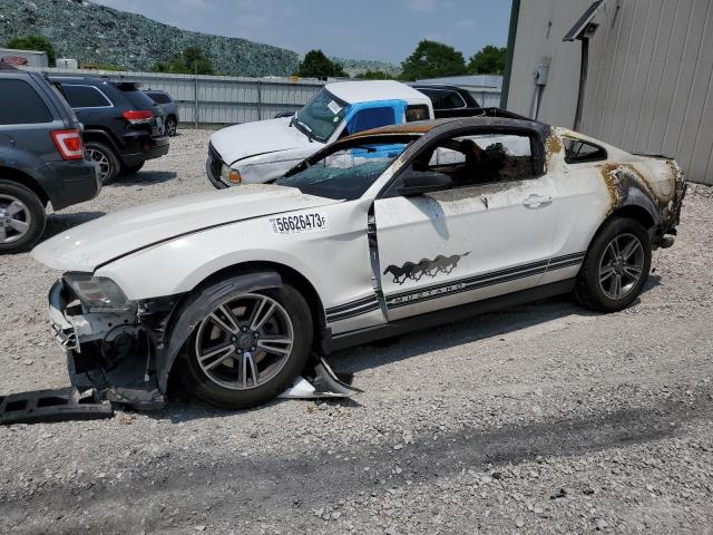 Ford All models (2012)