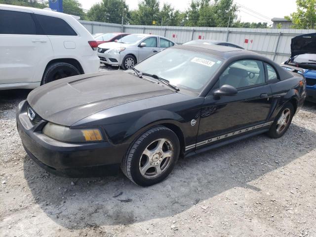 Ford All models (2004)