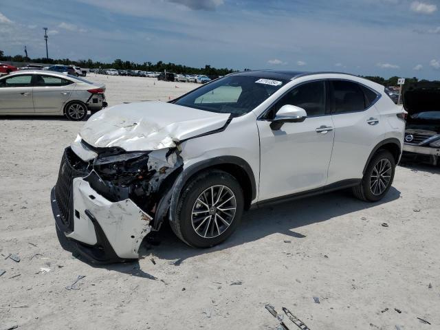 Lexus Nx 350h ba (2024)