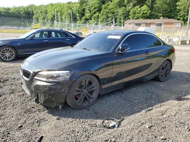 Bmw 2 series (2014)