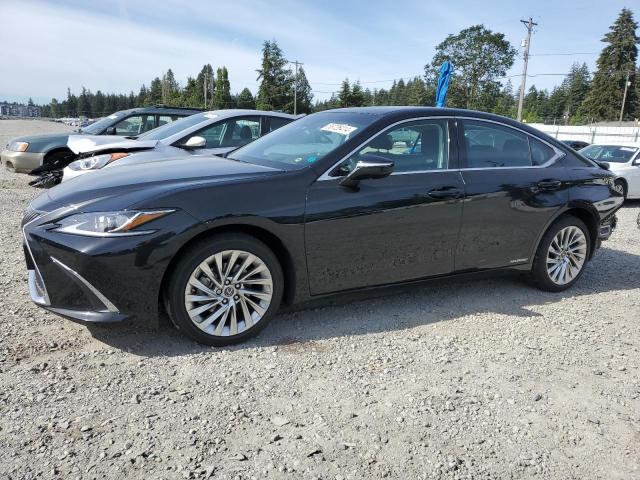 Lexus Es300 (2020)