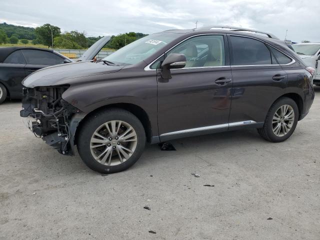 Lexus Rx450 (2013)