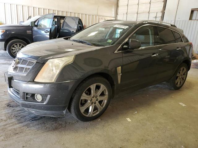 Cadillac Srx (2011)