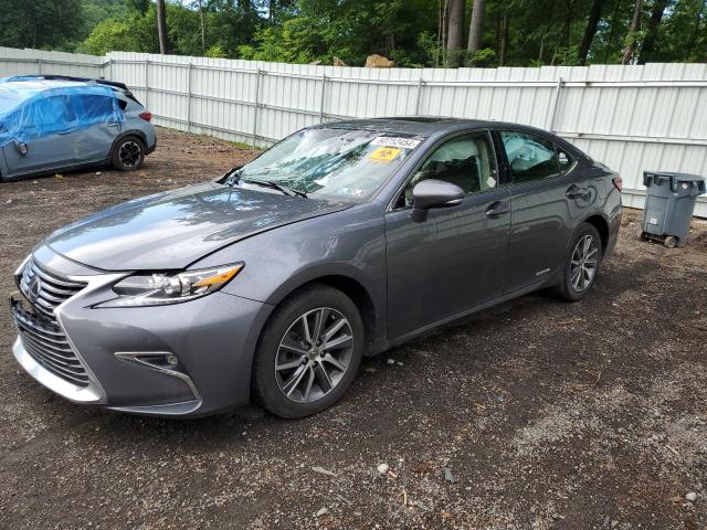 Lexus Es300 (2018)