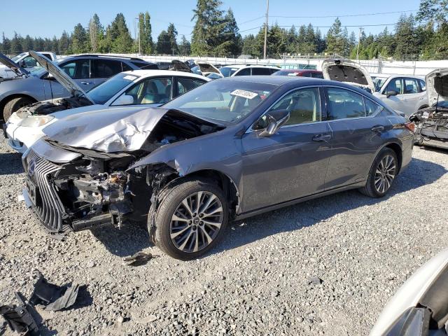 Lexus Es300 (2019)