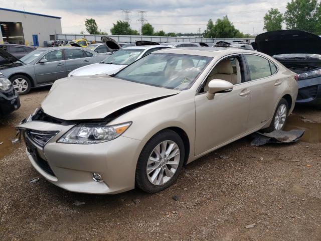 Lexus Es300 (2014)