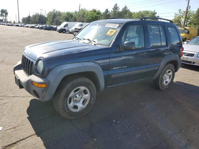 Jeep Liberty (2003)