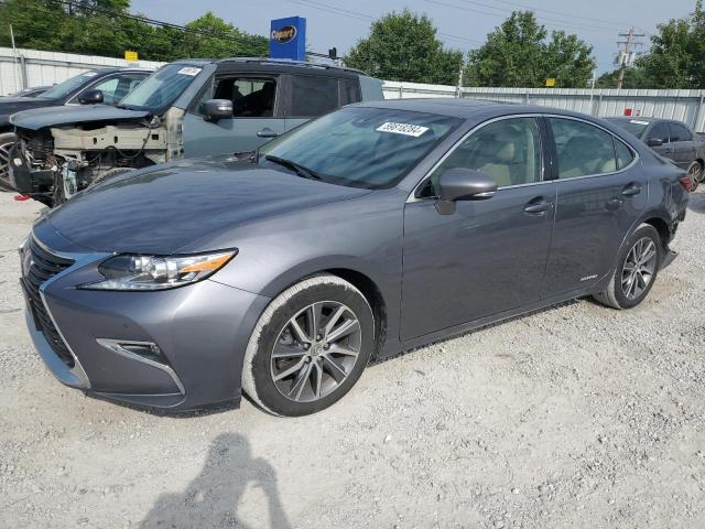 Lexus Es300 (2017)