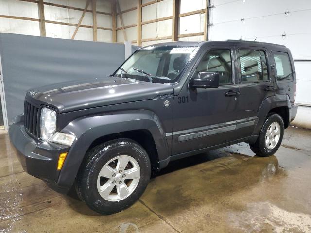 Jeep Liberty (2010)