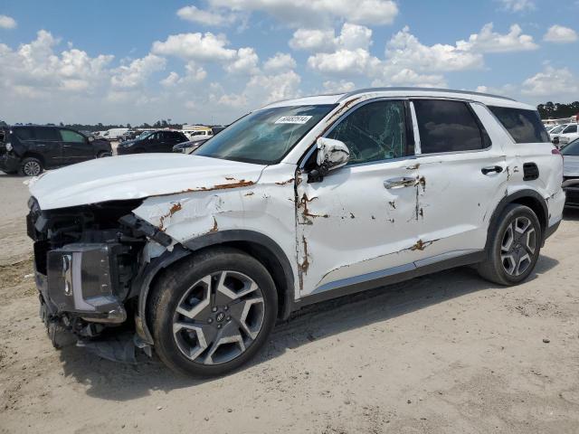 Hyundai Palisade (2024)
