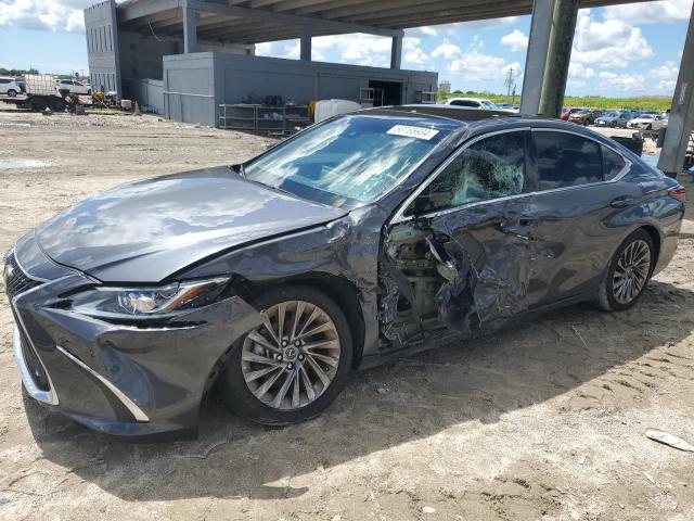 Lexus Es350 (2024)