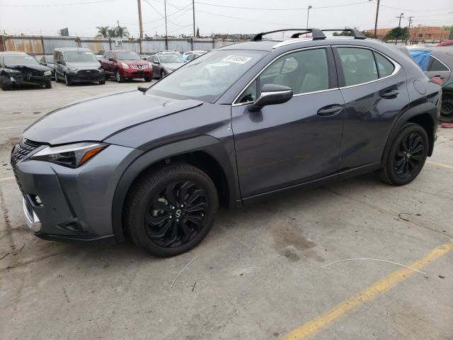 Lexus Ux 250h ba (2024)