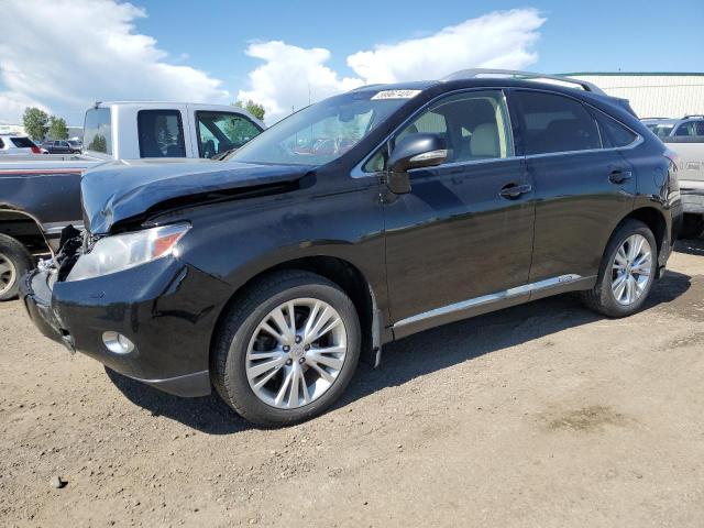 Lexus Rx450 (2010)