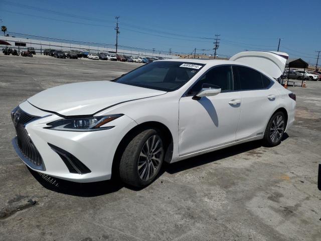 Lexus Es300 (2021)