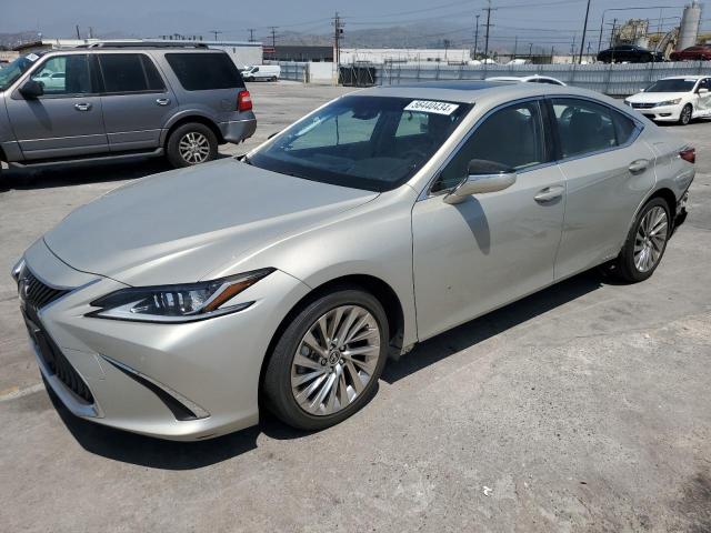 Lexus Es300 (2019)