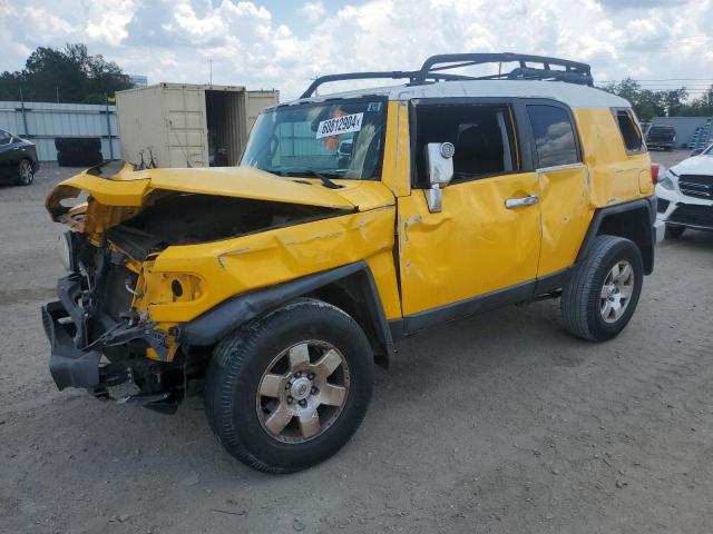 Toyota Fj cruiser (2007)