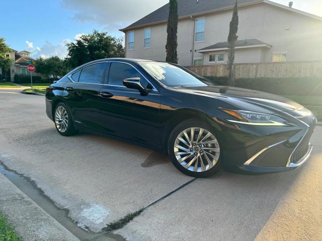 Lexus Es300 (2019)