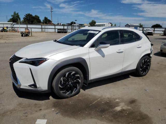 Lexus Ux 250h ba (2023)