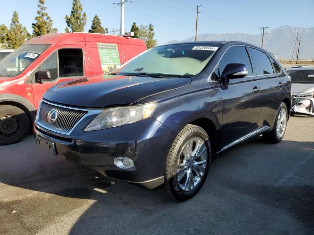 Lexus Rx450 (2010)