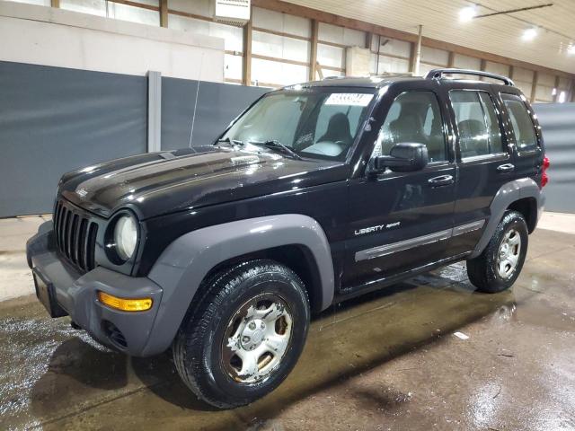 Jeep Liberty (2003)