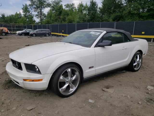 Ford All models (2005)